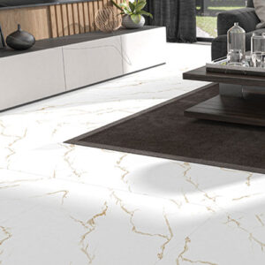 Georgia 60*60 cm Matt Porcelain Tile