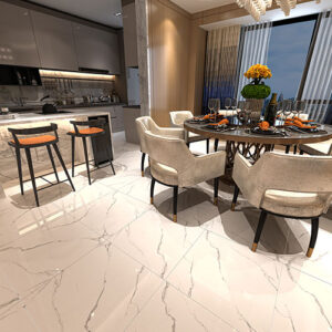 Paniz 60*60 cm Glossy Ceramic Tile