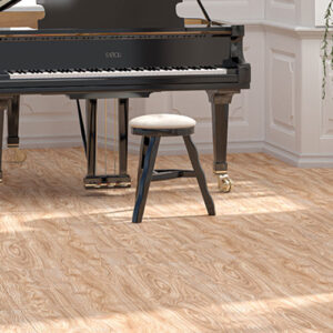 Rasa 60*60 cm Matt Porcelain Tile