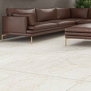 Veniz 60*60 cm Matt Porcelain Tile