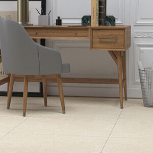 Vien 60*60 cm Matt Porcelain Tile